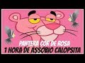 Assobio calopsita  pantera cor de rosa  cockatiel whistle