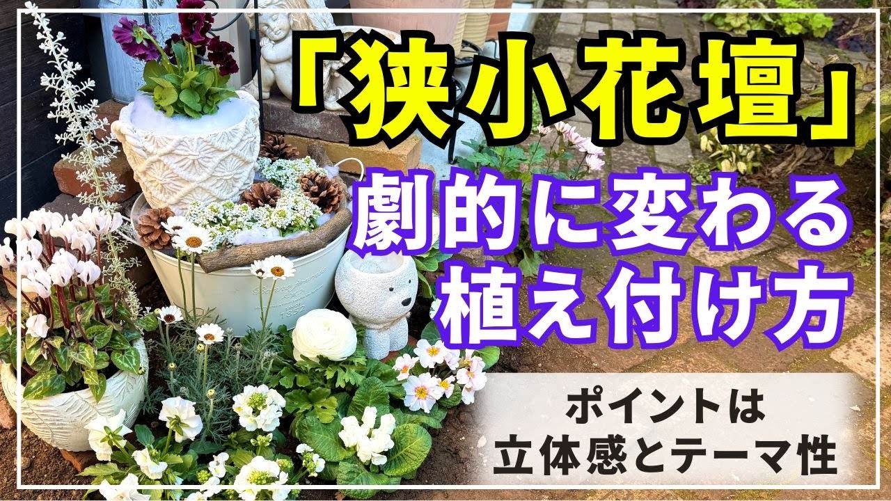 【冬に輝くホワイト花壇作り】のぺっとしない立体的かつ美しい冬の花壇作り動画です。