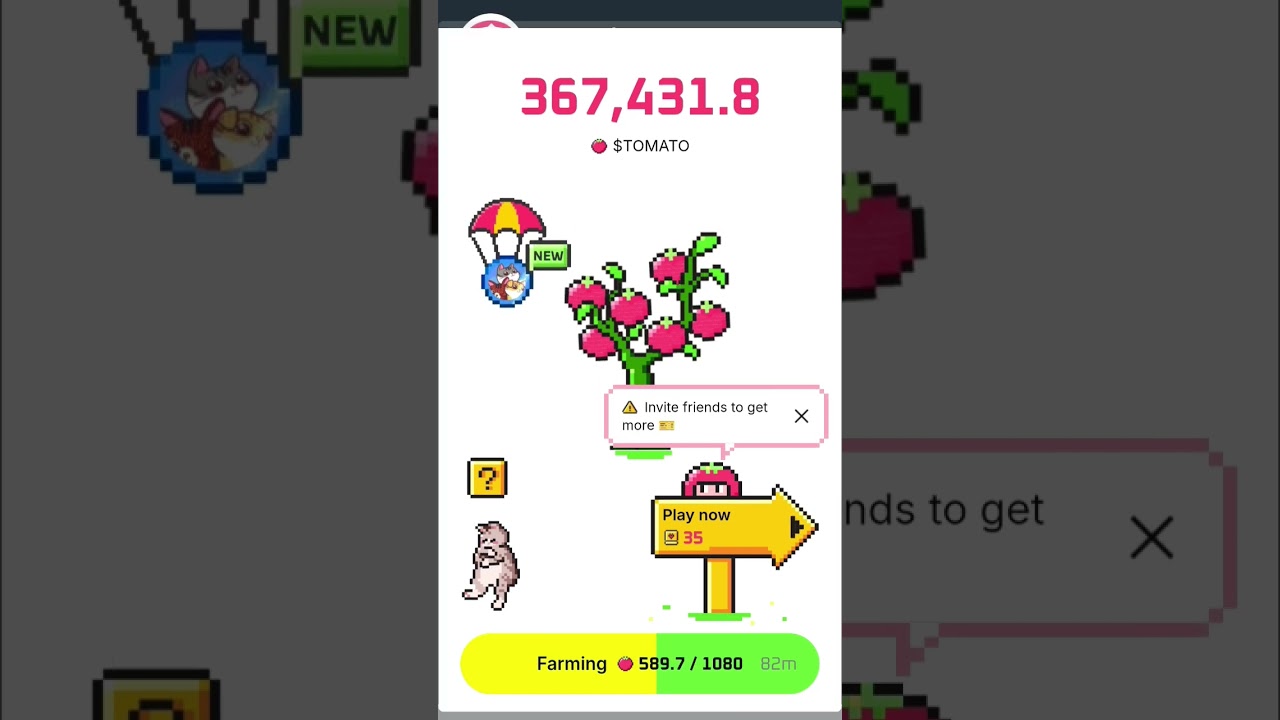 tomarket not opening today solution  | Tomarket not opening 