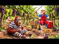 Monkey NaNa’s Grape Harvest Turns CHAOTIC as She Captures a Thief Orangutan in the Vineyard! 😱🚜🍇🐒