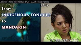 The Many Languages of Taiwan | From Indigenous to Mandarin