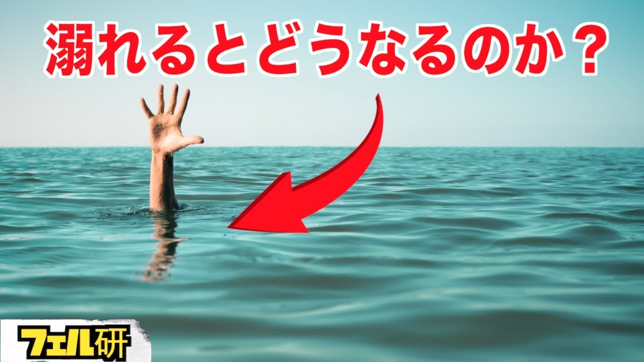 衝撃 溺れると身体はどうなってしまうのか Youtube
