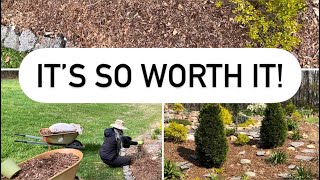 Mulch is Too Expensive! Here’s How I’m Able to Reduce Cost! The Results are