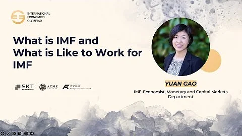 IEO 2022 Guest Lecture Yuan Gao "What is IMF and What is it like to work for IMF" - DayDayNews