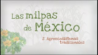 2.- Las milpas de México, Agroecosistemas tradicionales