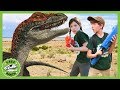 Mystery Dinosaur Egg at T-Rex Ranch! Jurassic Adventure with Raptor Dinosaurs for Kids! Pretend Play