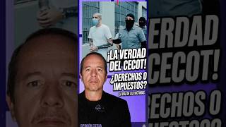 ¿Justicia para quién? La realidad que nadie te cuenta ⚖️
