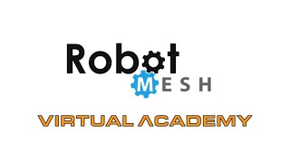 Celebrity Robot Mesh Virtual Academy Profile