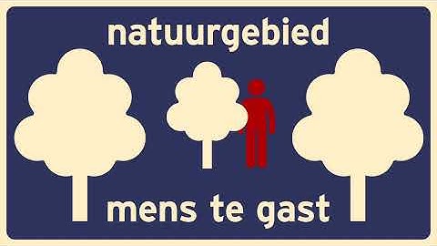 Bart de Vrees - Drie vogels (three birds) 2025