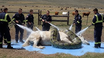 Brave Heroes Save Greedy Mother Horse From Dangerous Attack Of Giant Python 🐴👮‍♂️
