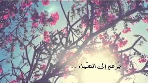 من فوائد الاذكار - الشيخ محمد بن محمد المختار الشنقيطي