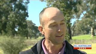 Build A Bridge featured on WIN ALL AUSTRALIAN NEWS   13TH AUG 2014 ~ CI
