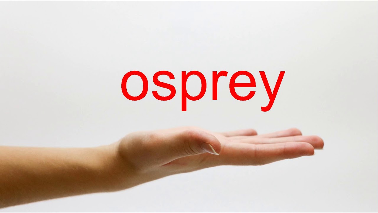 How To Pronounce Osprey - American English