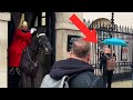 Kings guard furious at man deliberately upsetting his horse