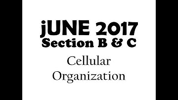 How to read/revise things from old question papers: Unit-II (June 2017)