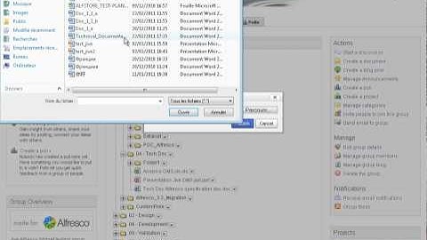 Jive-Alfresco Widget Document Management features