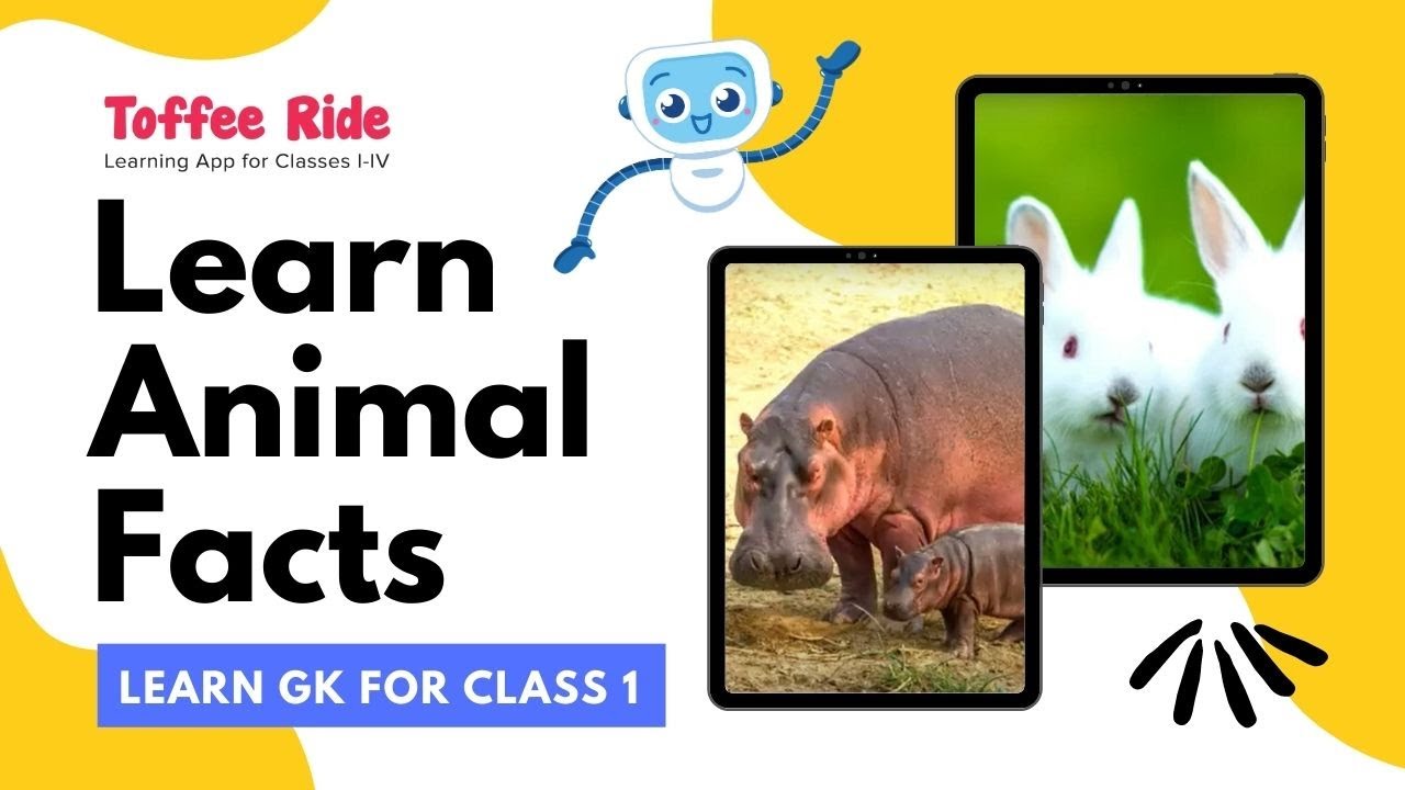Learn GK Part 2 - Animal Facts - Class 1 - YouTube