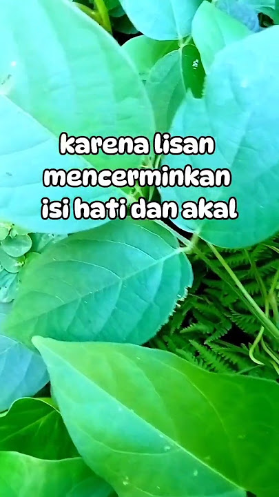 Jagalah lisanmu sebab satu kata bisa merusak segalanya #katahikmahkehidupan #jagalisan #quotes