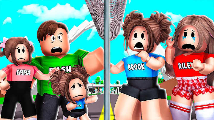 EVERY TIME The Border DIVIDED Our Family In Roblox Brookhaven!!