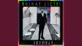 Seydeli