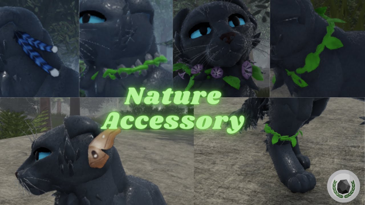 WCUE The new 'Nature Accessory's' YouTube