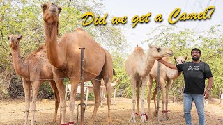 We Tried to Buy Camel for Bakrid | What happened???
