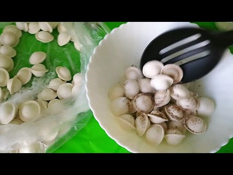 ЭКСПЕРИМЕНТ- ПЕЛЬМЕНИ, МИКРОВОЛНОВКА И НЕПОНЯТНО ЧТО