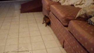 DSCF5938.AVI