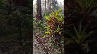 Where am I? You won’t believe this place in Kerala,