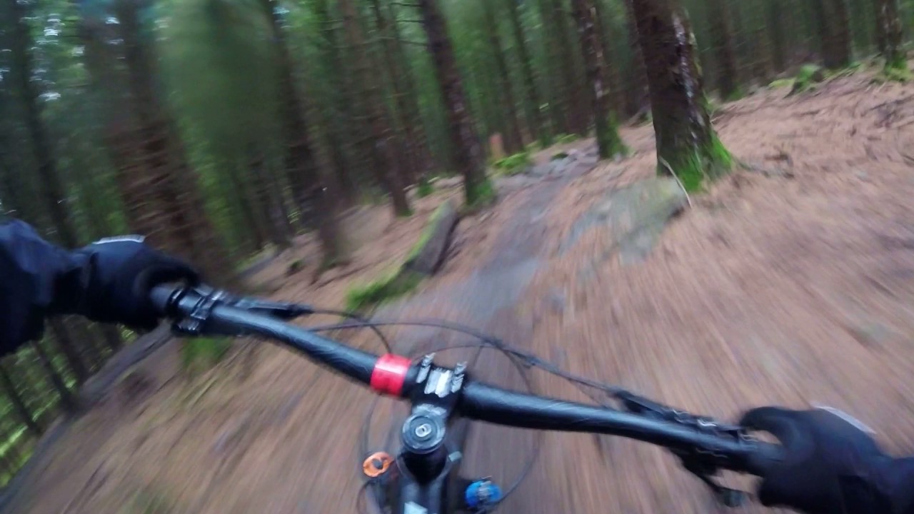 wilsons bikes albion park