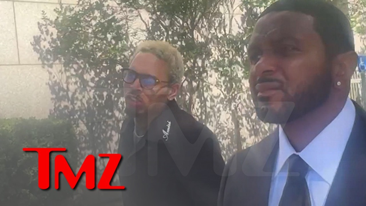 Chris Brown's Dog Attack Battle: Mistrial Declared In $90 Million Lawsuit
