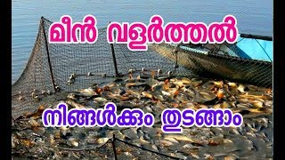 മത്സ്യ കൃഷി നിങ്ങള്‍ക്കും തുടങ്ങാം (മീന്‍ വളര്‍ത്തല്‍)#eco own#Meen Valarthal(Fish Farming)Malayalam