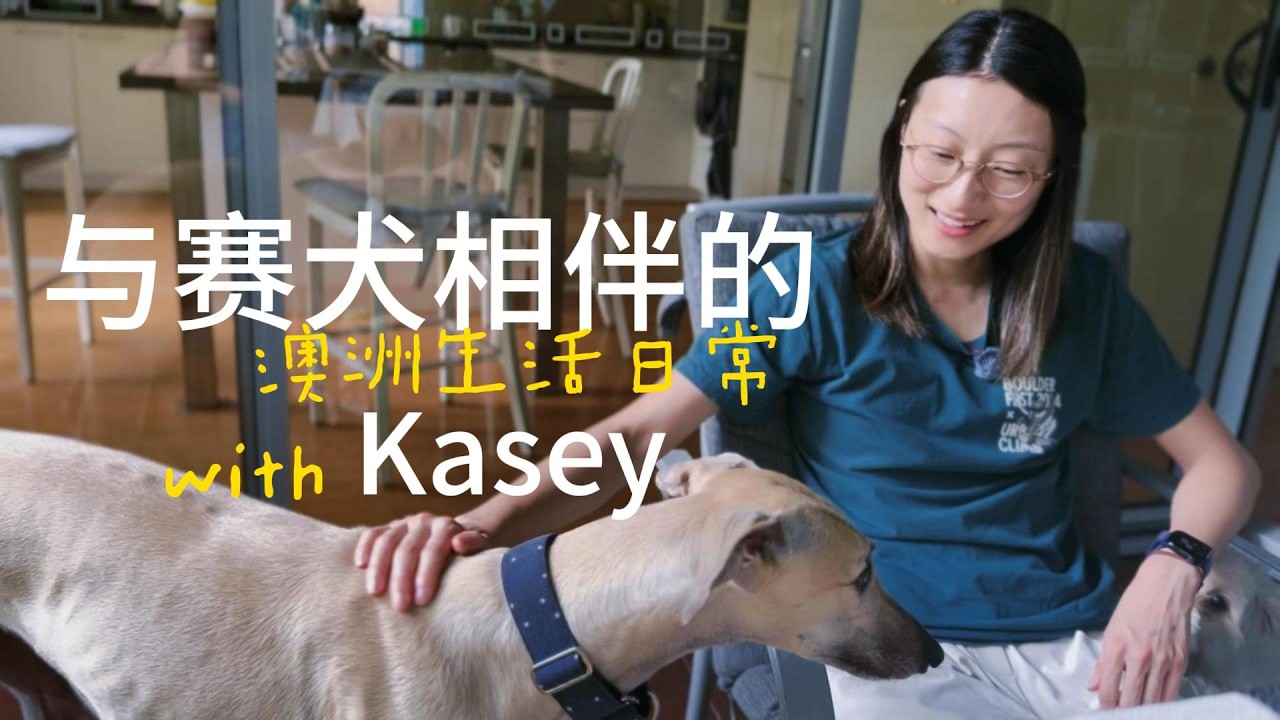 全部影片