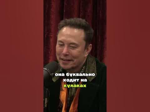 Илон Маск об искусственном интеллекте #илонмаск #подкаст #ии - YouTube