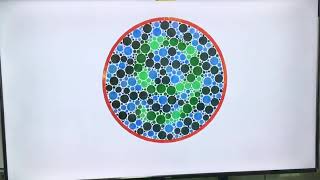 Astigmia E C Alphabet Numbers Children Allen V-Opto Etdrs Ishihara Elite Vision Chart Dongle Kit.