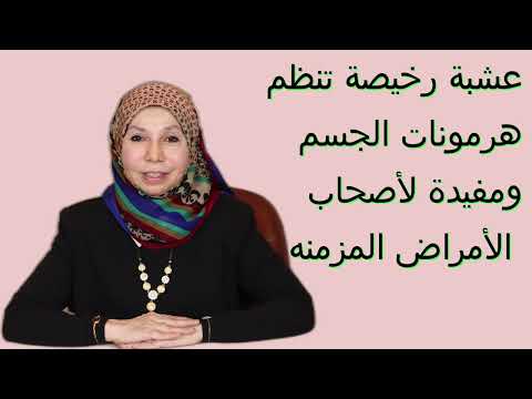 عشبة رخيصة تنظم هرمونات الجسم و مفيدة لأصحاب الأمراض المزمنة