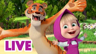 🔴 Ao Vivo 👱♀️🐻 Masha E O Urso ✌️ Que Venham Os Bons Tempos! 🌺🤸‍♂️ Masha And The Bear