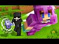 How I RUINED My School's Minecraft SMP..!