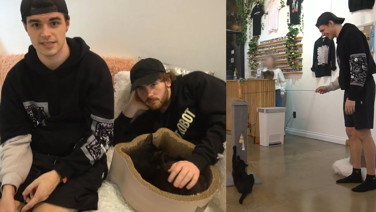 Foolish Being Chaotic at a Cat Café! Ft. Sylveey and Friends