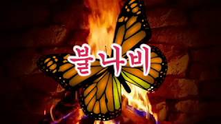 Video thumbnail of "김상국 - 불나비"