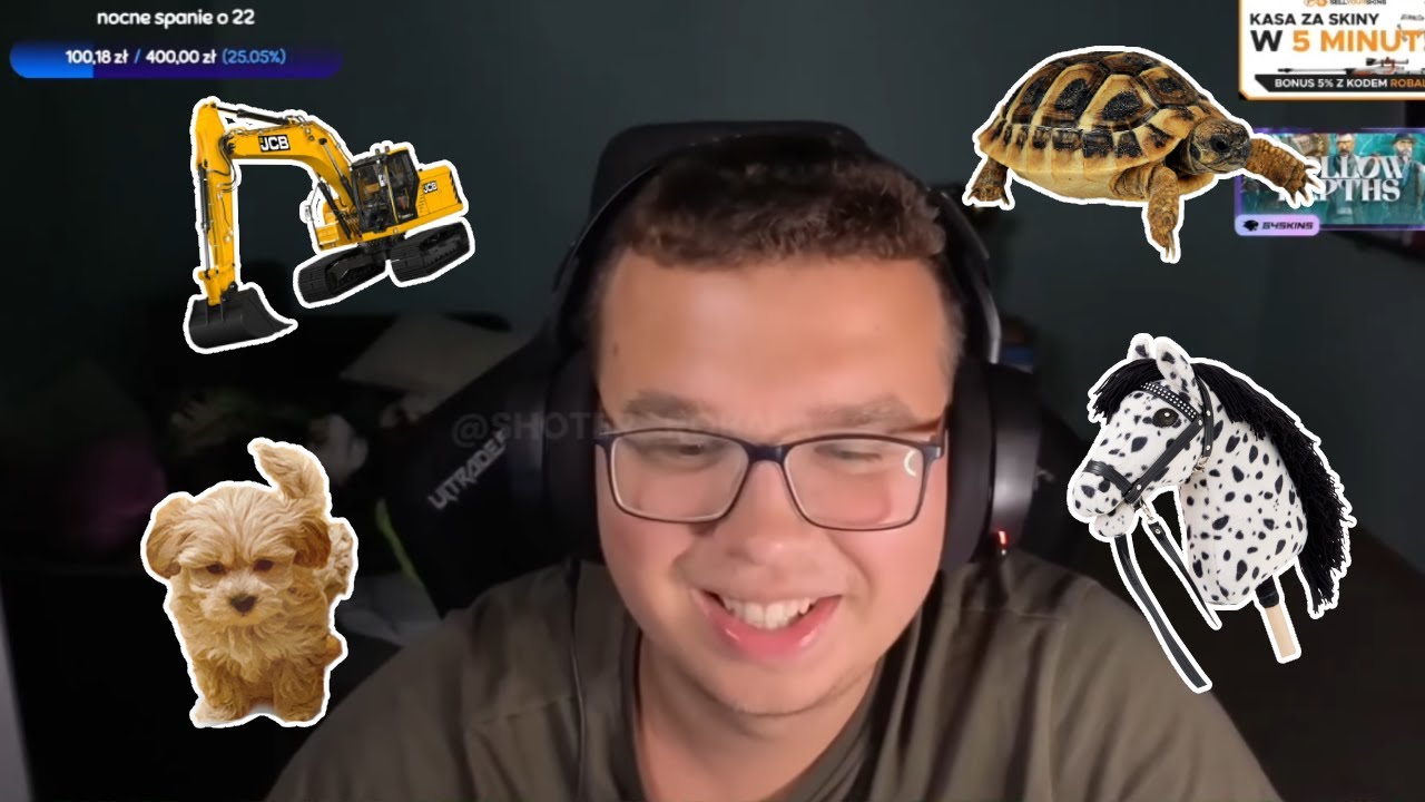 Robalini - telefony po Wynajem koparki, Pieski, Żółwie, Hobby horse