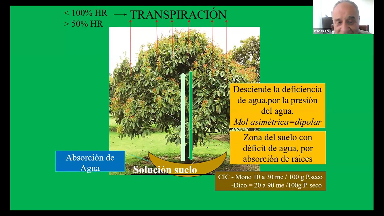 Interpretación de análisis de suelo y agua para fertirriego | Curso de Fertirriego – Módulo III