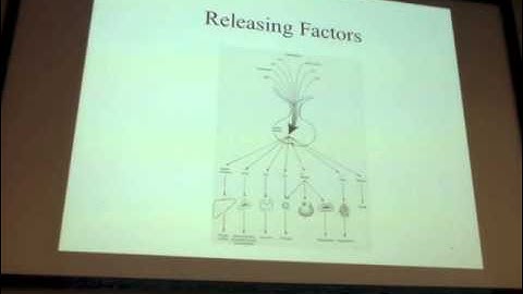 BME 365R Lecture 10.29.2015