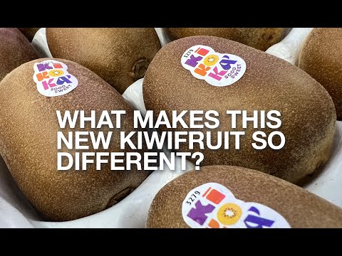 Kikokà brings new value to kiwifruit category - video from Fruitnet