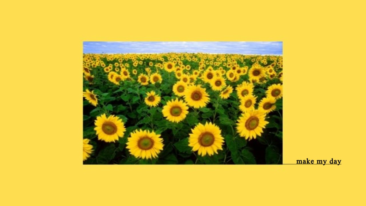 кубановедение картинки. окружающий кубановедение. спасибо за внимание для презентации. красота окружающего мира краснодарского края. природа краснодарского края проект.