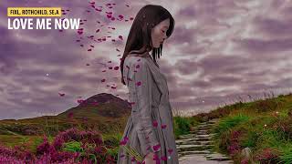 Fixl X Rothchild - Love Me Now Feat. Se.a Lyrics Video