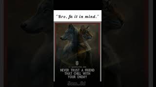 Never Trust,,