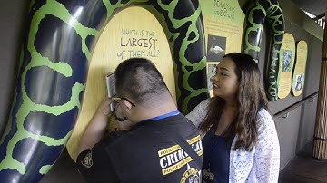 Introduction to Building Bridges: Commit To Inclusion