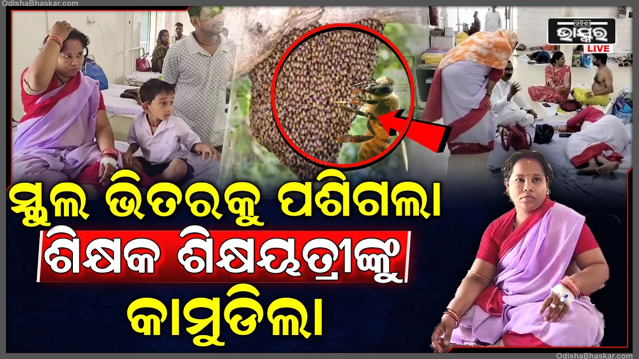 କିଛି କୁଆଡେ ନଥିଲା ଗେଟ୍ ଖୋଲୁ ଖୋଲୁ ମାଡ଼ିଆସିଲା...ଶିକ୍ଷକ ଶିକ୍ଷୟତ୍ରୀଙ୍କୁ କଲା ଆକ୍ରମଣ, ଚାଲିଛି ଚିକିତ୍ସା...