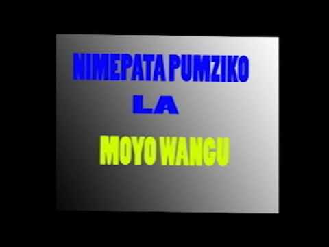 Simulizi NIMEPATA PUMZIKO LA MOYO WANGU Episode 6